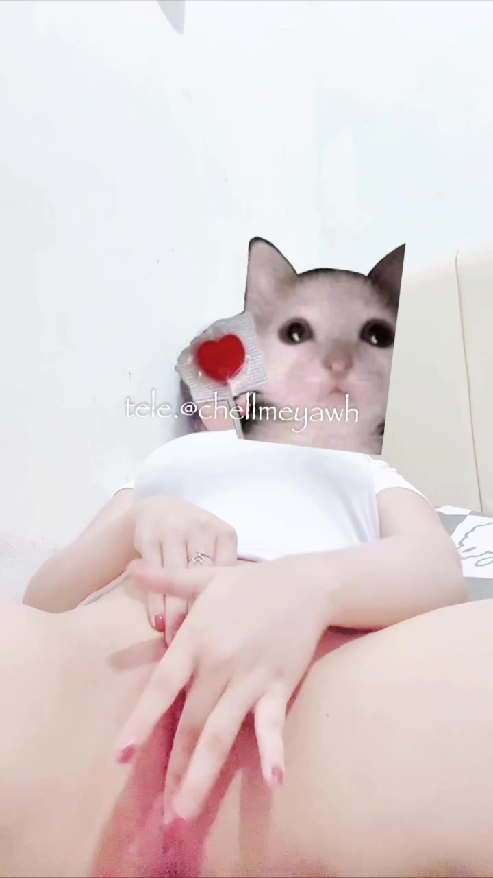 Chellmey Update 3